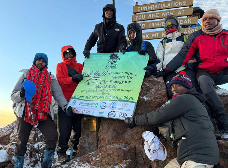 THE REAL STORY: From Summit to Sentience - A Journey to Lenana Peak (4,985m) and a Call for Compassion...Glory to the Living God!